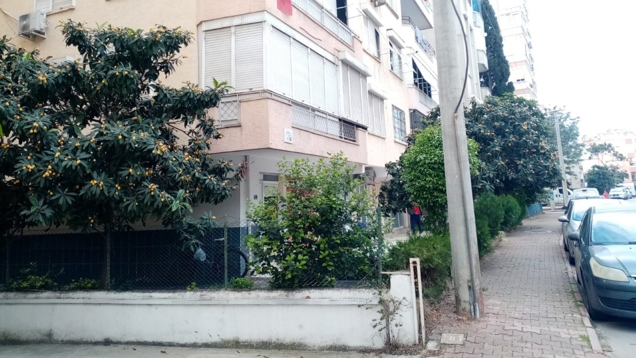 Muşmula Ağacı Antalya (4)