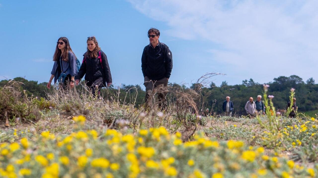 Phaselis Antik Kenti Doğa Yürüyüşü Tarım Orman Sen