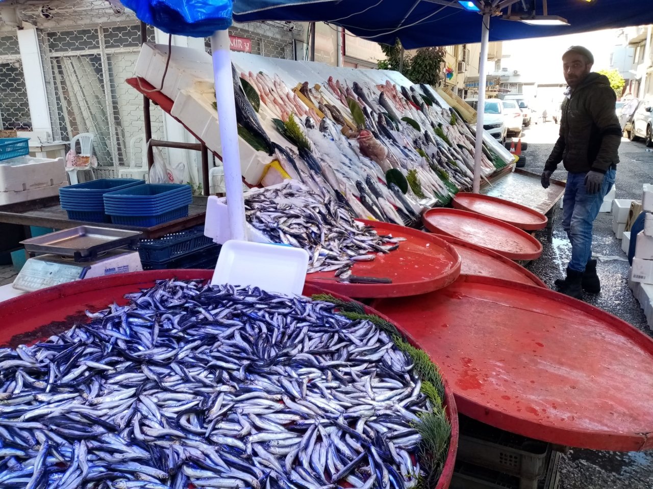 Semt Pazarı Balıklar (1)