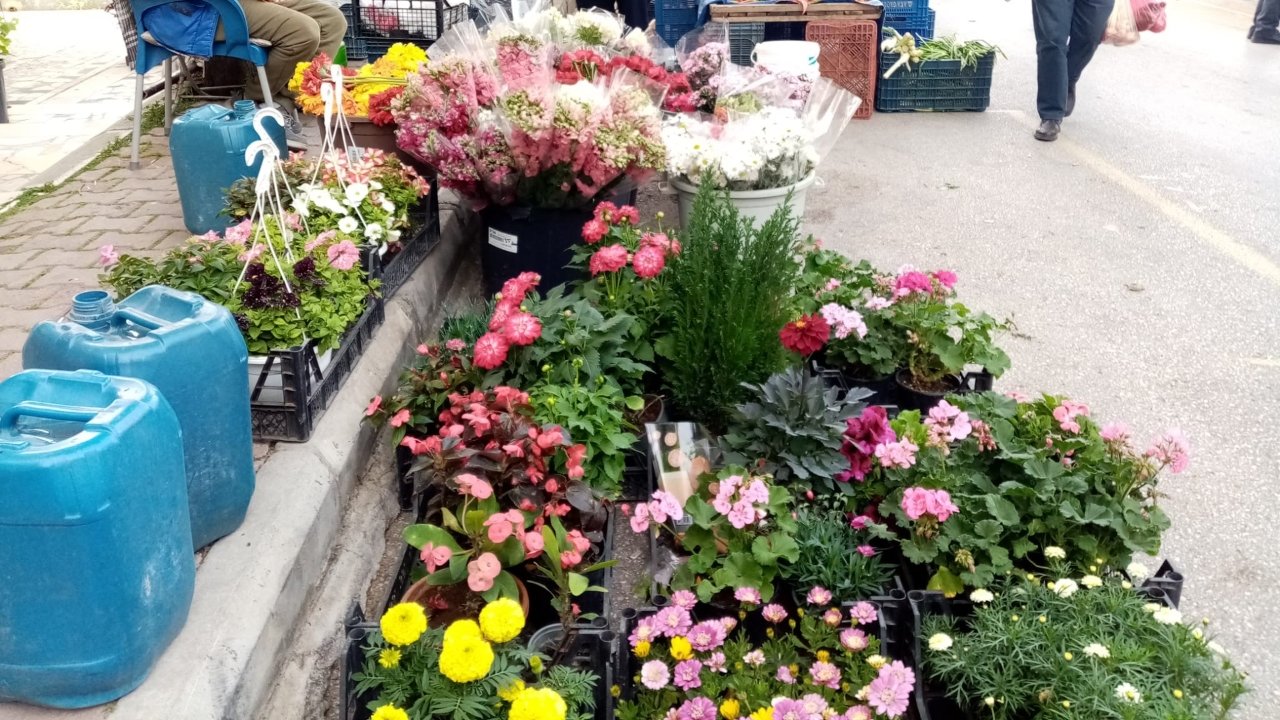 Antalya’da süs bitkilerine büyük zam!