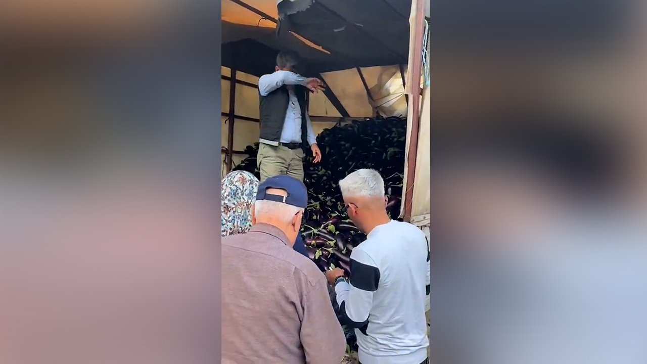 Çiftçi Patlıcanları Ücretsiz Dağıttı Alanya 2