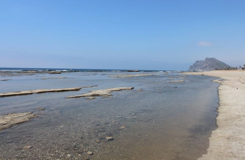 Gazipaşa Koru Ssahili Çed Kararı (2)