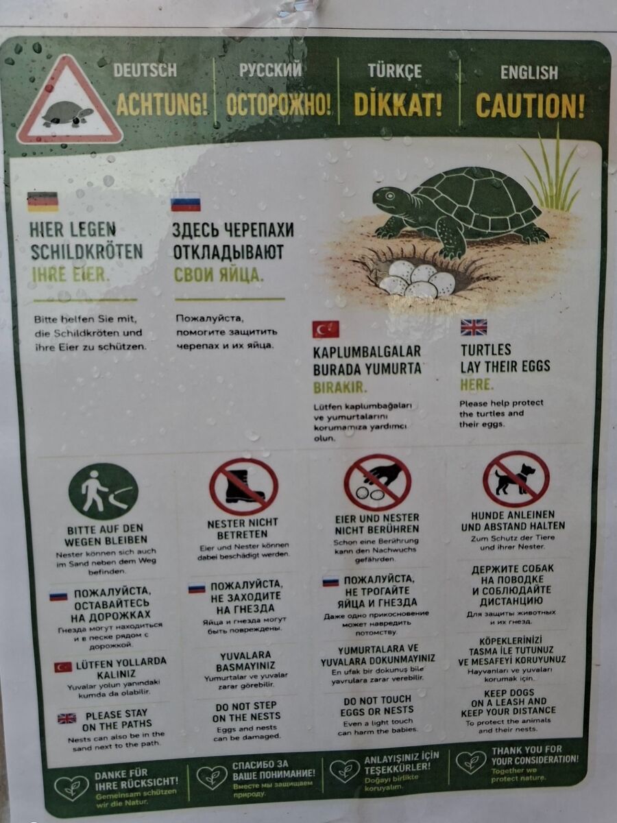 Manavgat Kaplumbağa Yuvaları Korumaya Alındı (2)