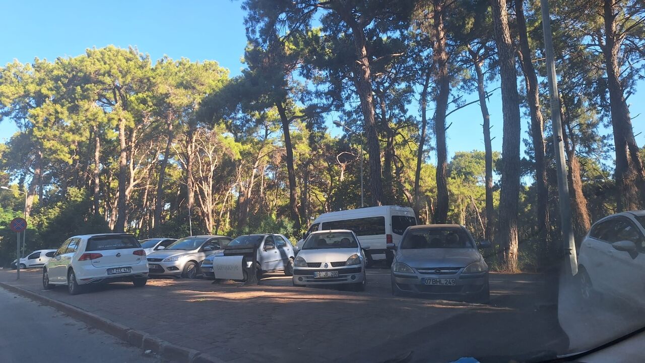 Manavgat Sorgun Ormanı Park Eden Araçlar (1)