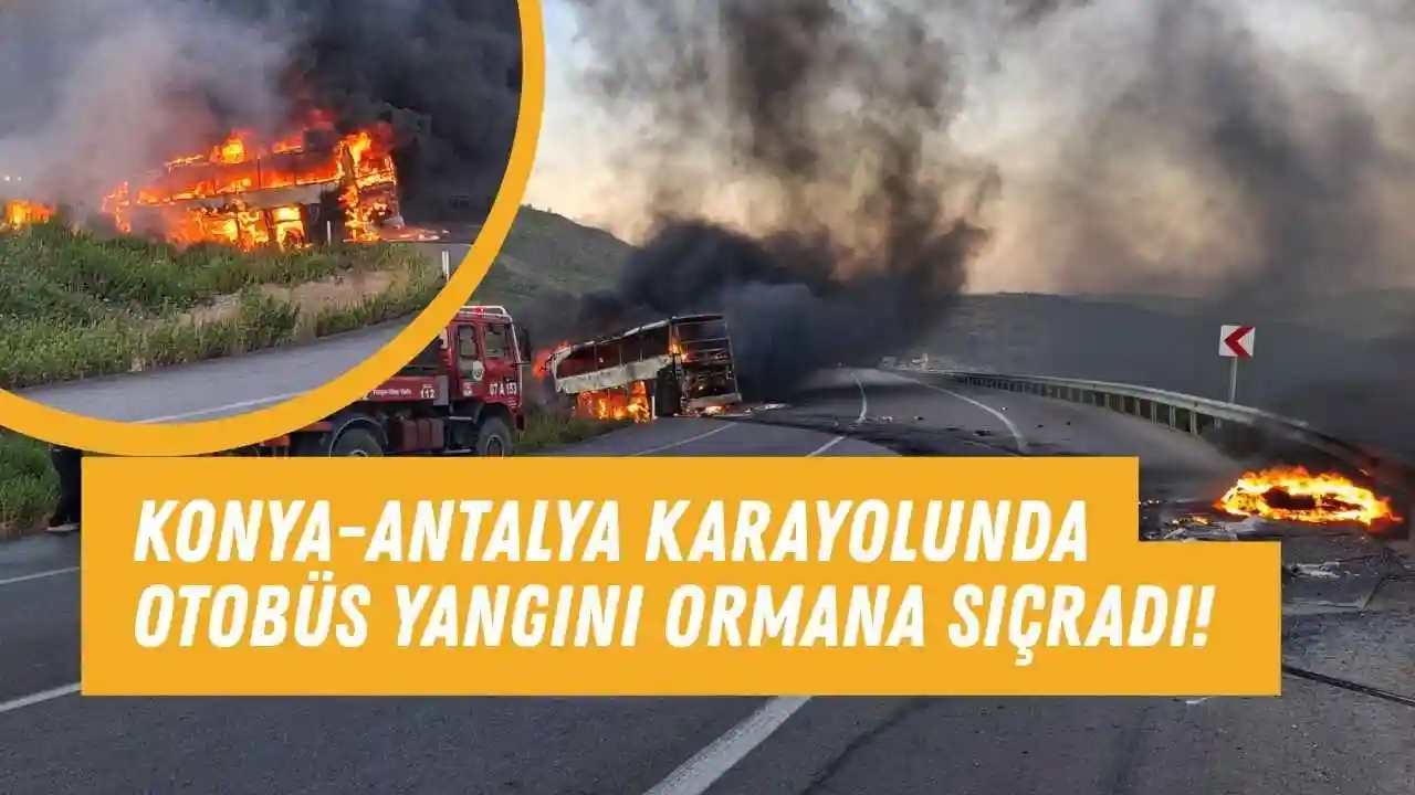 Konya-Antalya karayolunda otobüs yangını ormana sıçradı!