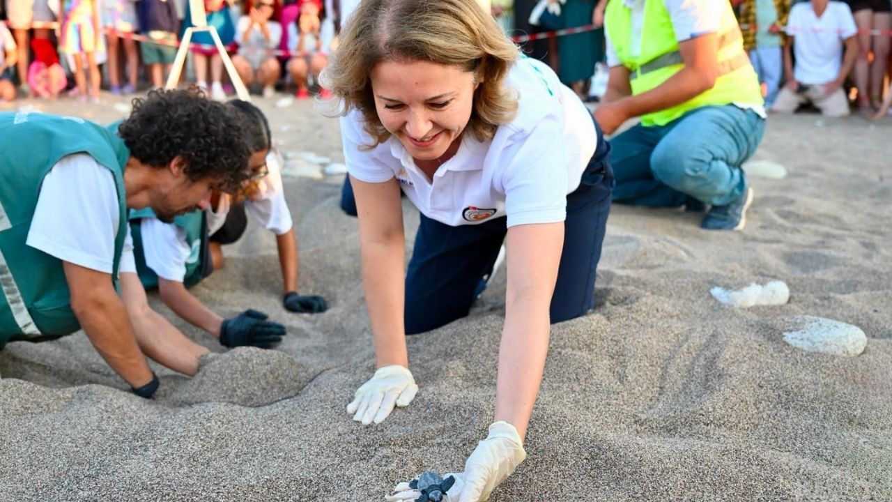 Antalya'da Caretta Caretta Heyecanı! Yavrular Çıralı'da Denizle Buluştu (1)