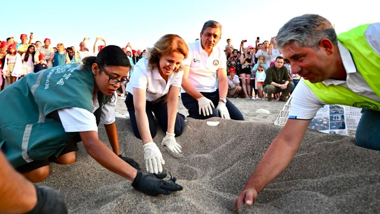 Antalya'da Caretta Caretta Heyecanı! Yavrular Çıralı'da Denizle Buluştu (2)