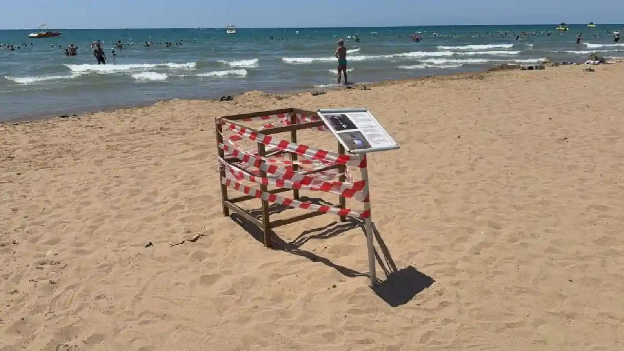 Antalya'da Caretta Caretta Yuvasına Skandal Müdahale!2423 (1)Körfezz