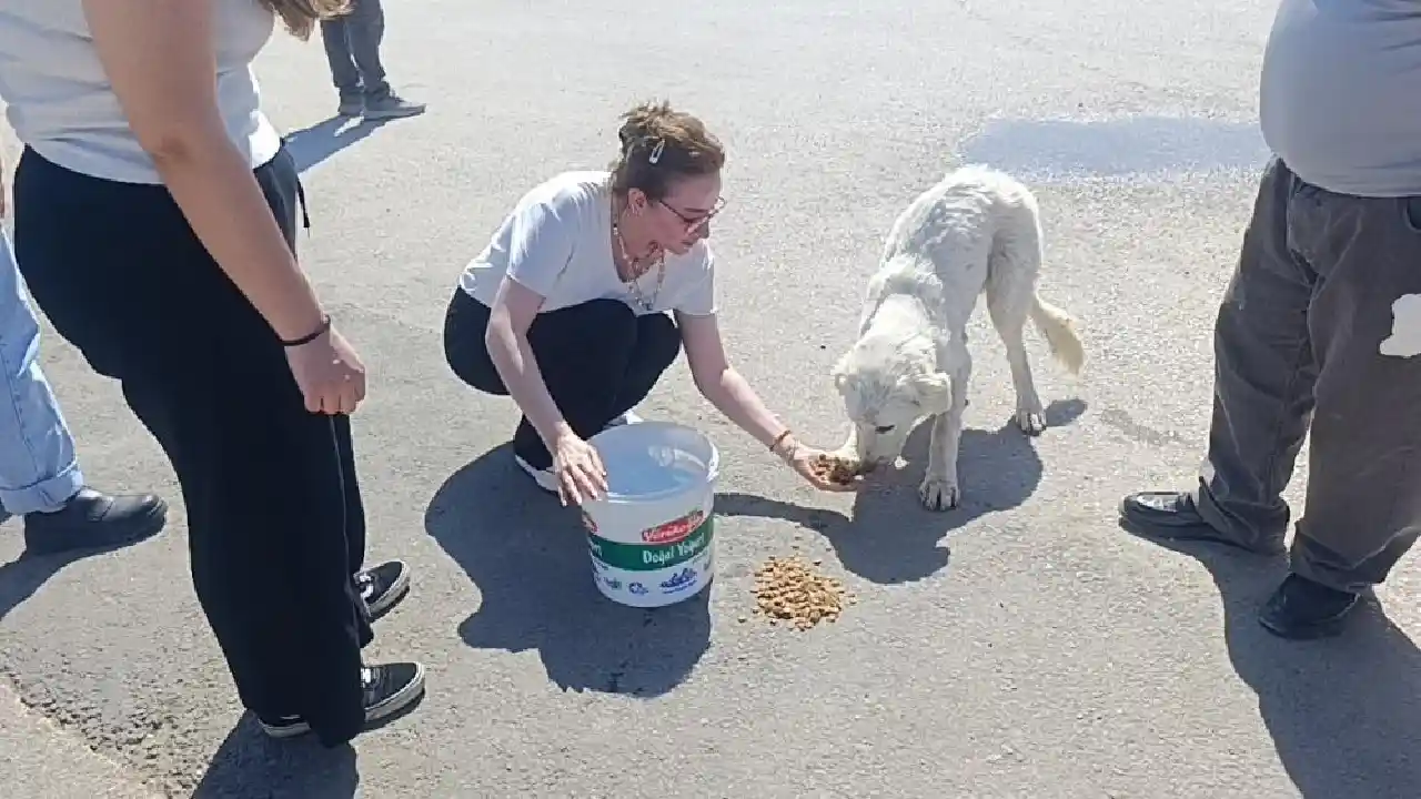 Antalya'da Günlerdir Gelen Sesin Sırrı Ortaya Çıktı! Kurtarılan Köpeğe Sarılıp Ağlad12 (4)Körfezz