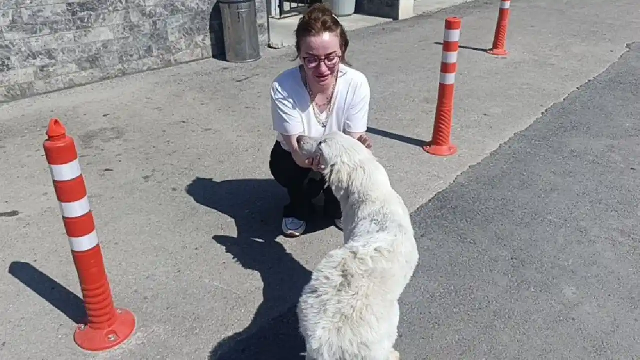 Antalya'da Günlerdir Gelen Sesin Sırrı Ortaya Çıktı! Kurtarılan Köpeğe Sarılıp Ağlad12 (5)Körfezz