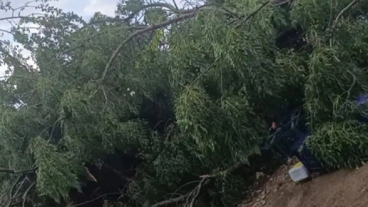 Antalya'da Yaz Ortasında Fırtına! Çatılar Uçtu, Ağaçlar Devrildi23 (2)
