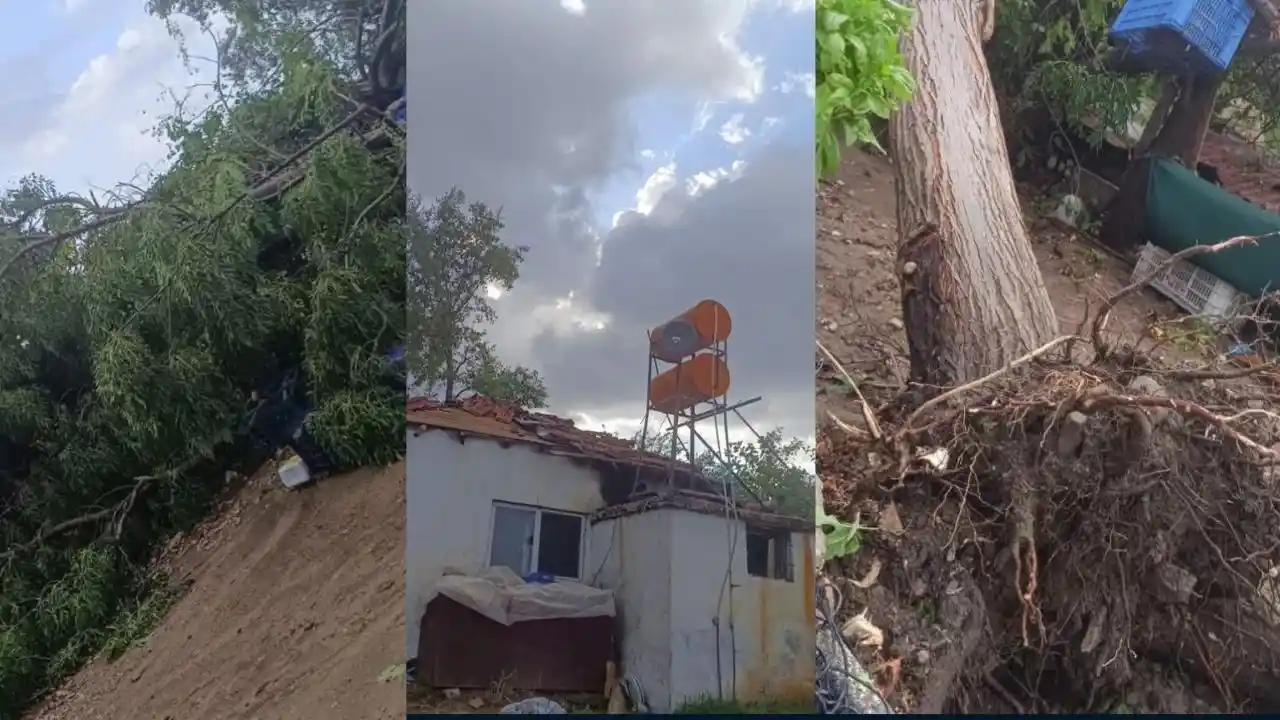 Antalya'da Yaz Ortasında Fırtına! Çatılar Uçtu, Ağaçlar Devrildi23 (4)