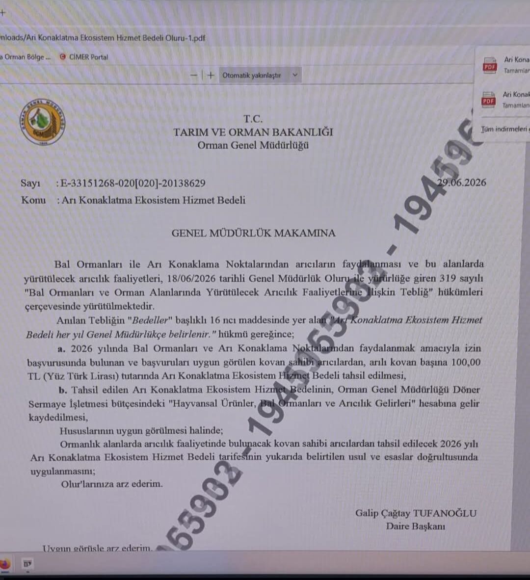 Arıcılık Için Yeni Düzenleme Belge