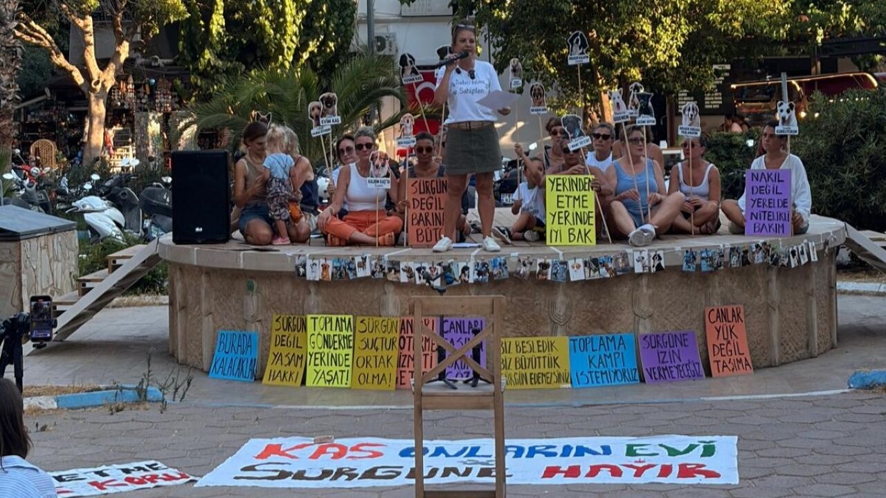 Kaş Hayvan Dostları Derneği Tepki (2)