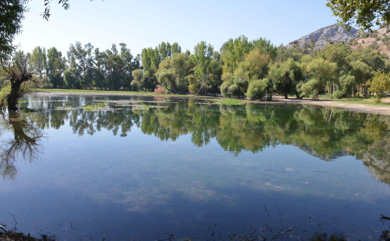 Kırkgöz Bülten (11)