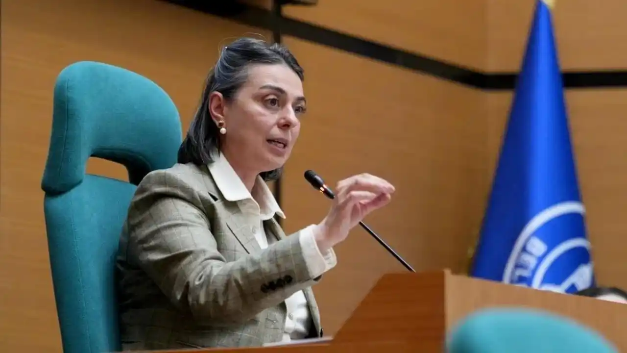 Sinem Dedetaş kimdir, neden gözaltına alındı? YENİ Parti'ye geçecek miydi?