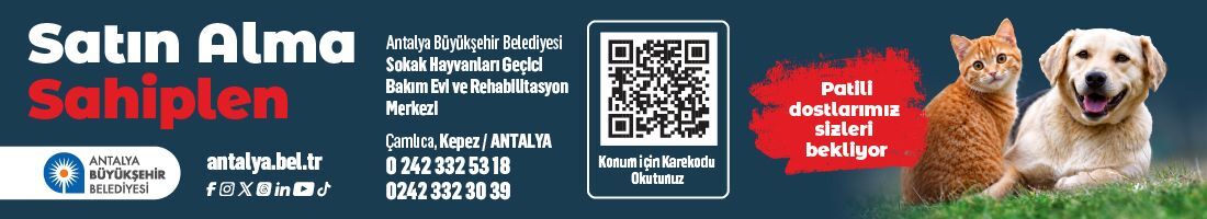 Reklam Bloğu