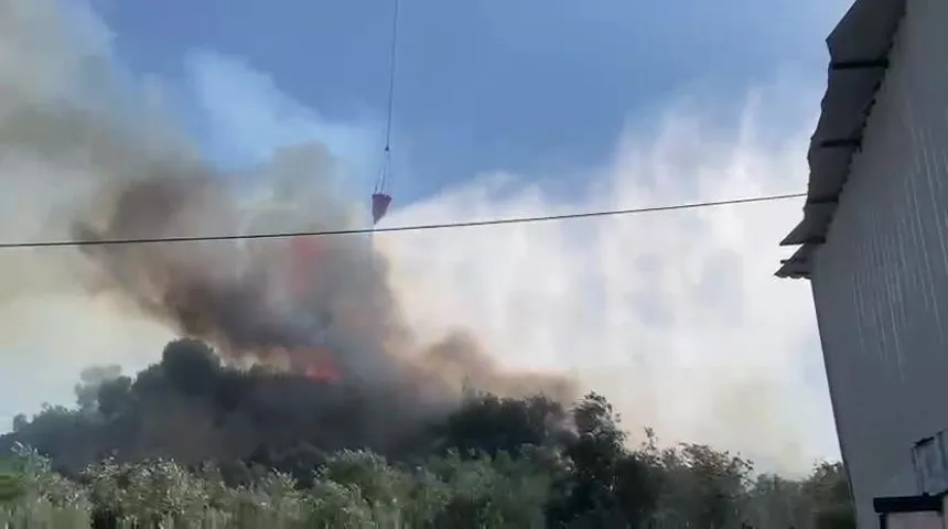 Aksu’da ormanlık ve zeytinlik alanda yangın çıktı