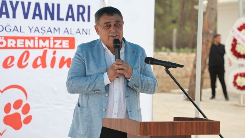 Aksu Sokak Hayvanları Bakımevi Ve Doğal Yaşam Alanı (1)