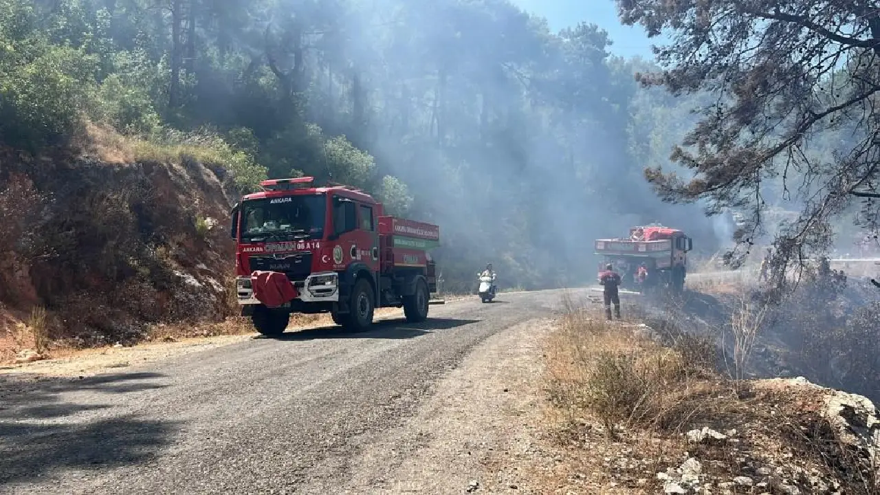 Antalya'da Alevler Yeniden Yükseldi! Alanya'da 5 Dönüm Orman Kül Oldu (3)Körfezzxç