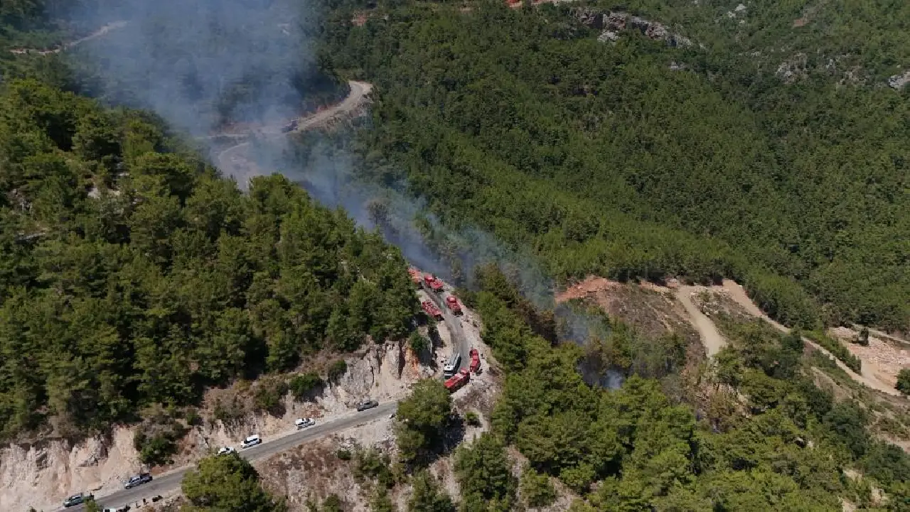 Antalya'da Alevler Yeniden Yükseldi! Alanya'da 5 Dönüm Orman Kül Oldu (8)Körfezzxç