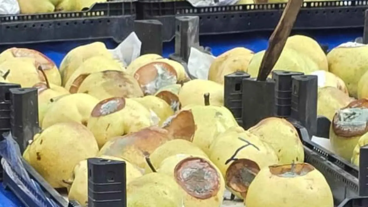 Antalya’da Gören Bir Daha Baktı! Pazar Tezgahında Bunu Da Sattılar (2)Körfezzxç