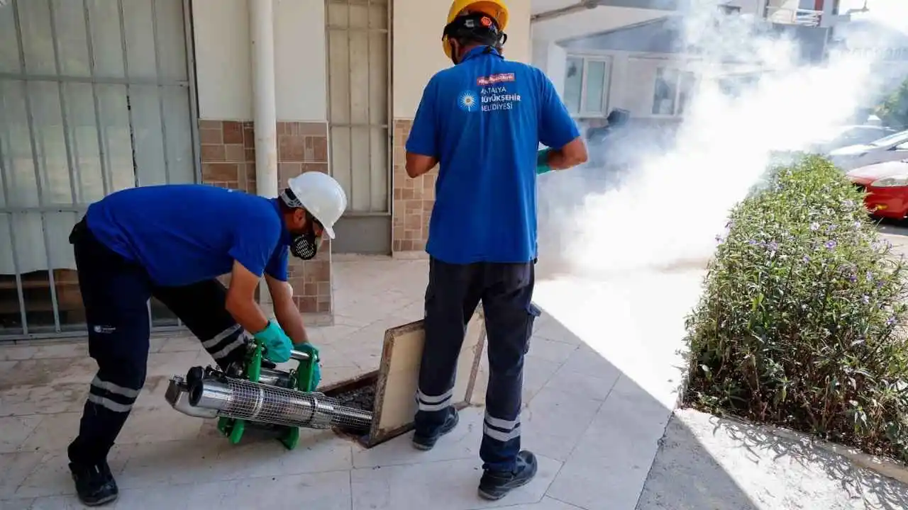 Antalya'da Sivrisinek Kabusuna Karşı Yeni Hamle! Büyükşehir Uyardı (2)Körfezzxç