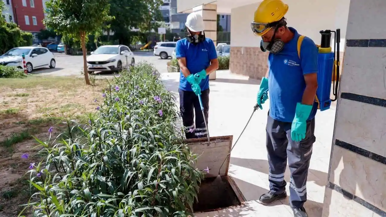 Antalya'da Sivrisinek Kabusuna Karşı Yeni Hamle! Büyükşehir Uyardı (3)Körfezzxç