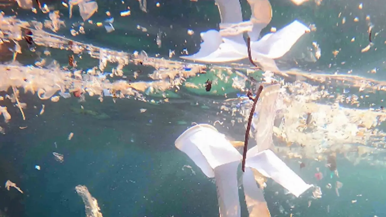 Antalya’da Turizm Hareketlendi, Mikroplastik Tehdidi Gündeme Geldi1 (1)