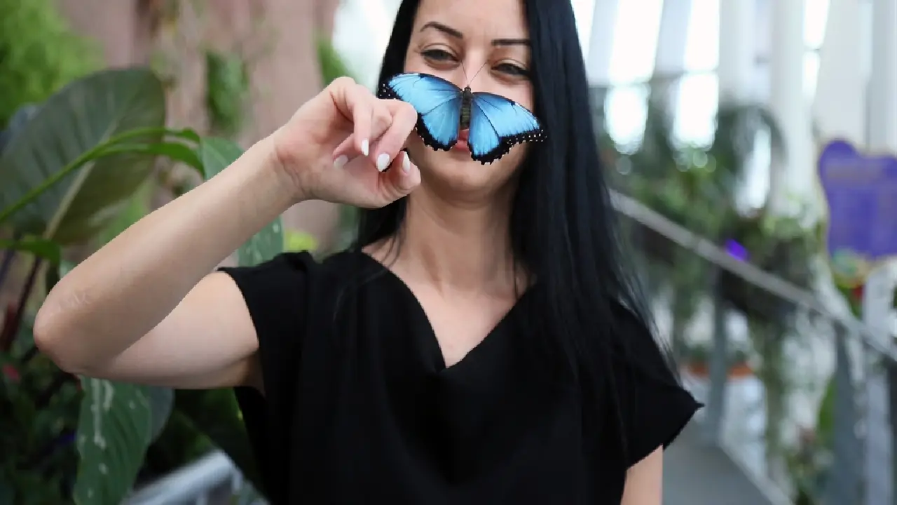 Butterfly World Antalya Nerede, Nasıl Gidilir, Içerisinde Neler Var 2026 Giriş Ücreti (2)