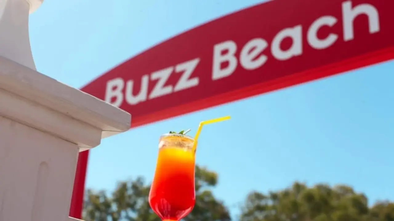 Buzz Beachkörfezzxç