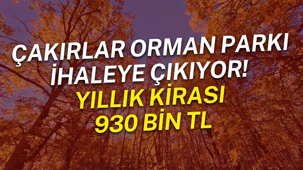 Çakırlar Orman Parkı ihaleye çıkıyor! Yıllık kirası 930 bin TL