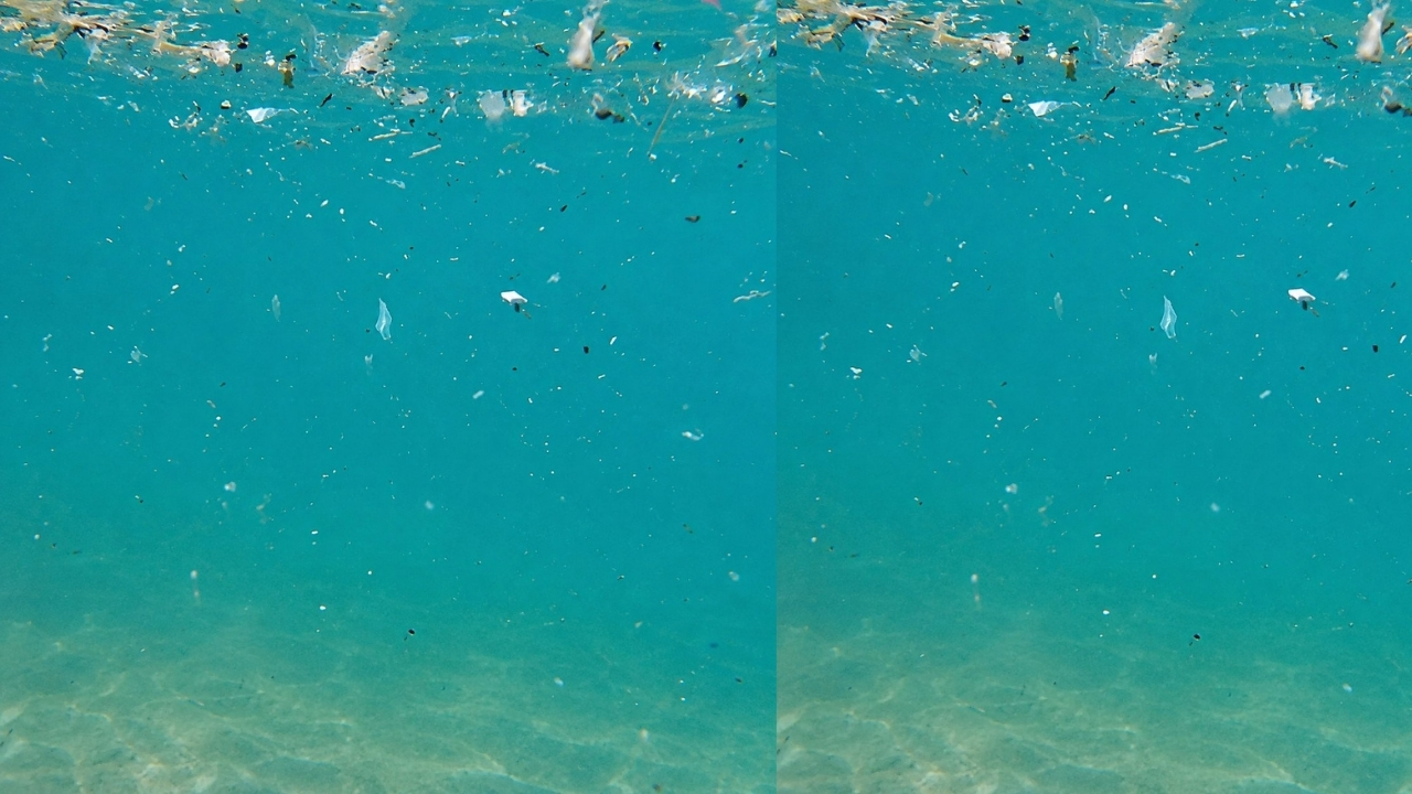 Denizlerde Mikroplastik