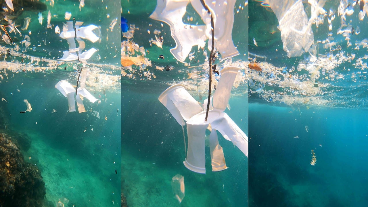 Denizlerdeki Mikroplastik Kirliliği