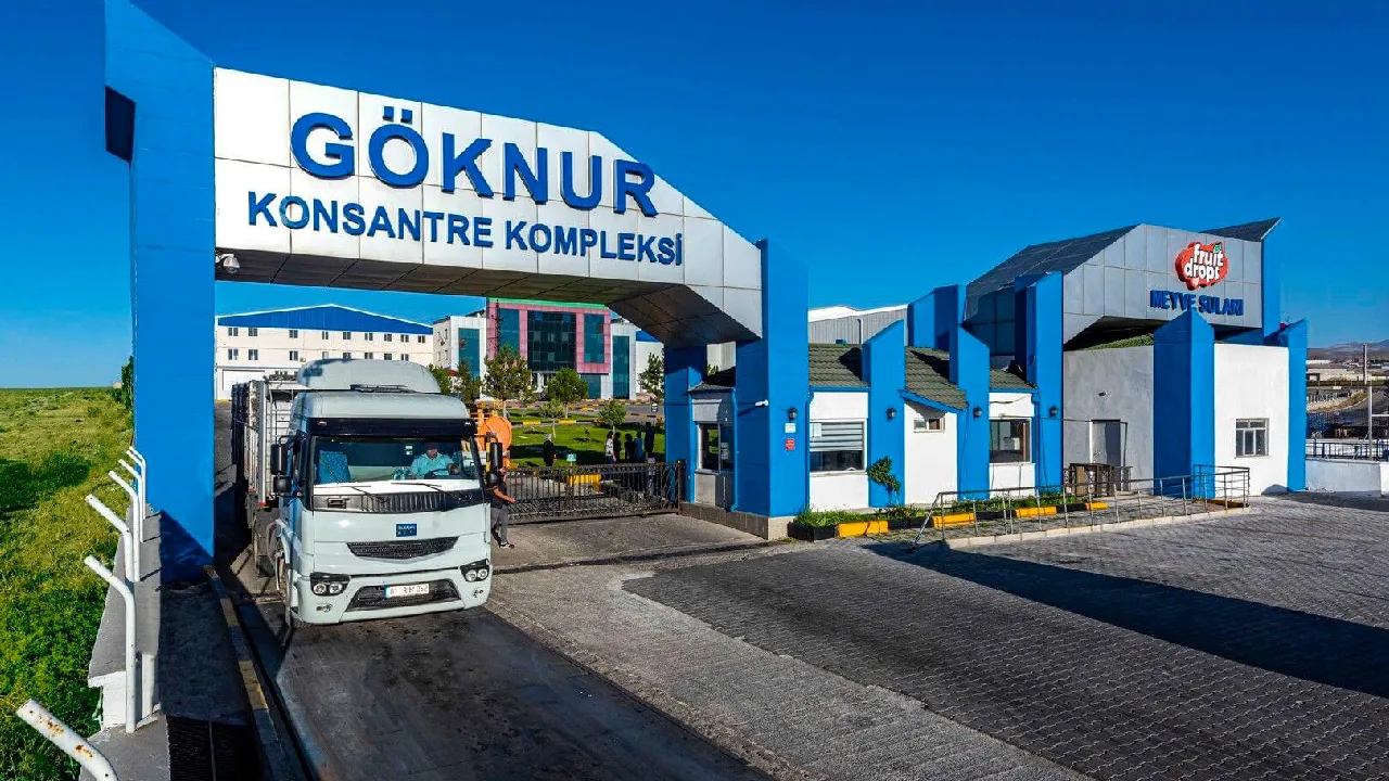 Göknur Gıda Kimin, Sahibi Kim Kayyum Kararı Neden Kaldırılden1 (5)