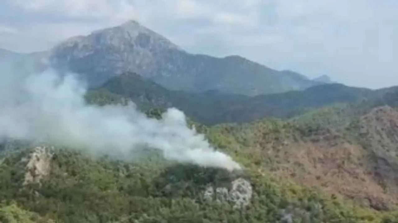 Kemer’de Ormanlık Alan Alevlere Teslim Oldu! Çıralı’da Yangın (2)Körfezzxç