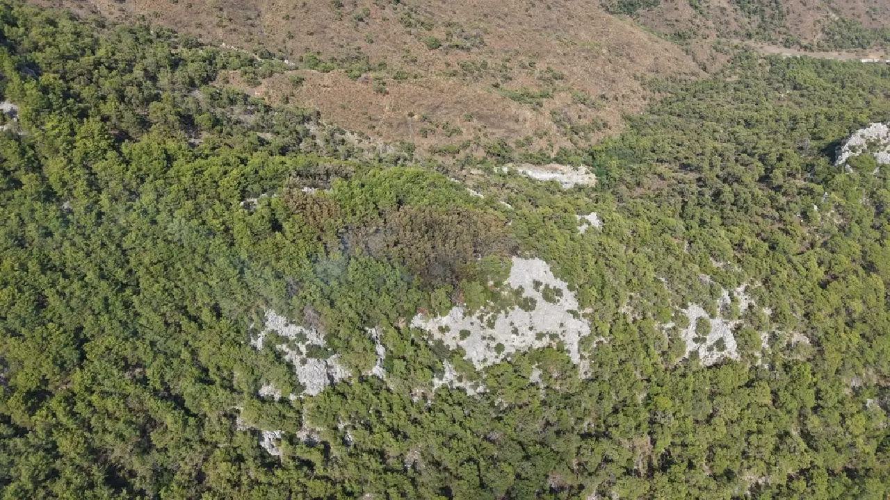 Kemer'de Sıcak Saatler! Çıralı Yangınında Son Durum Ne (3)