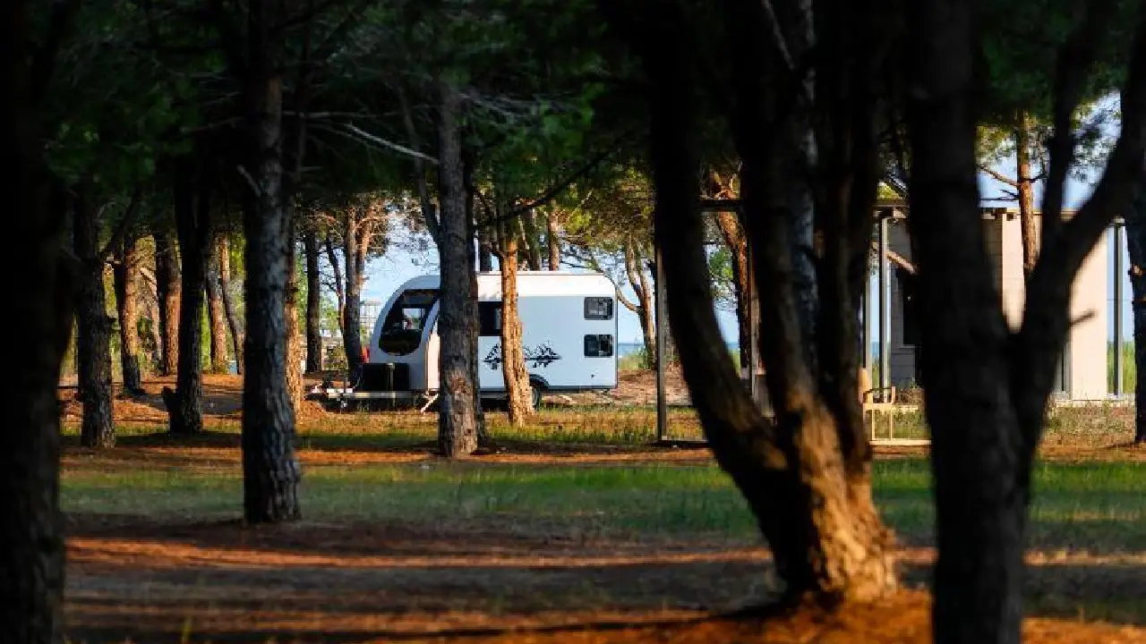 Manavgat Kamp Alanıkörfezzxç