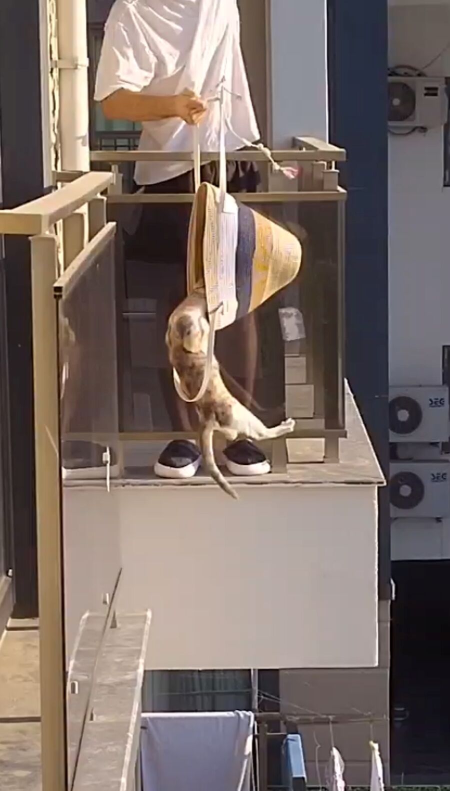 Plaj Çantası Ile Kedi Kurtarma Operasyonu (2)