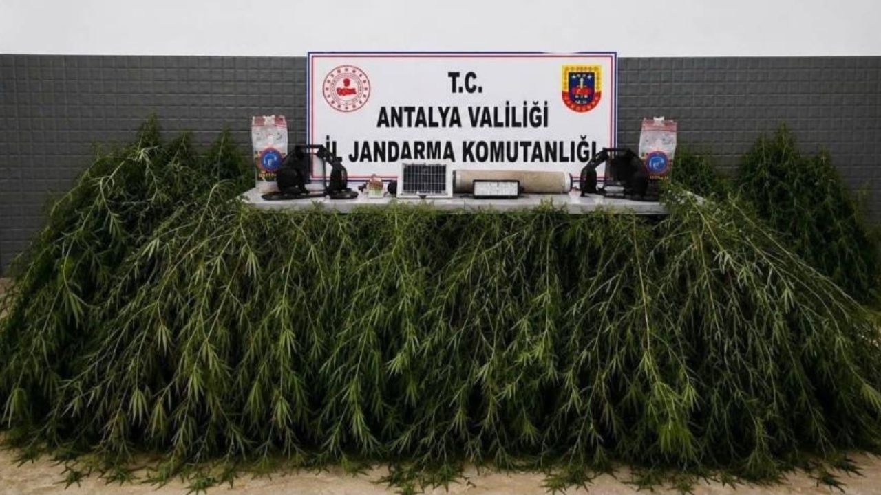 Antalya’da 3 Ilçede Uyuşturucu Operasyonu! Binlercesi Geçirildi12 (1)