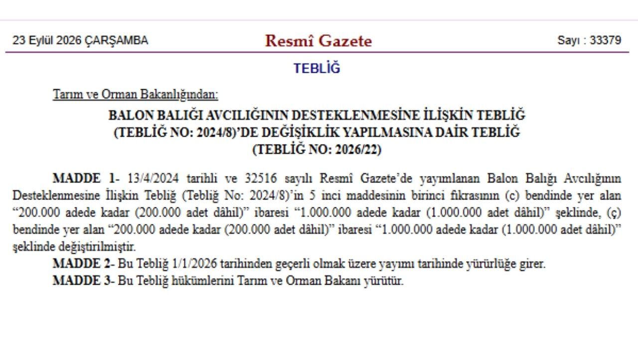Antalya’da Balon Balığı Avcılığında Yeni Dönem! 1 Milyona Çıktı!24 (8)