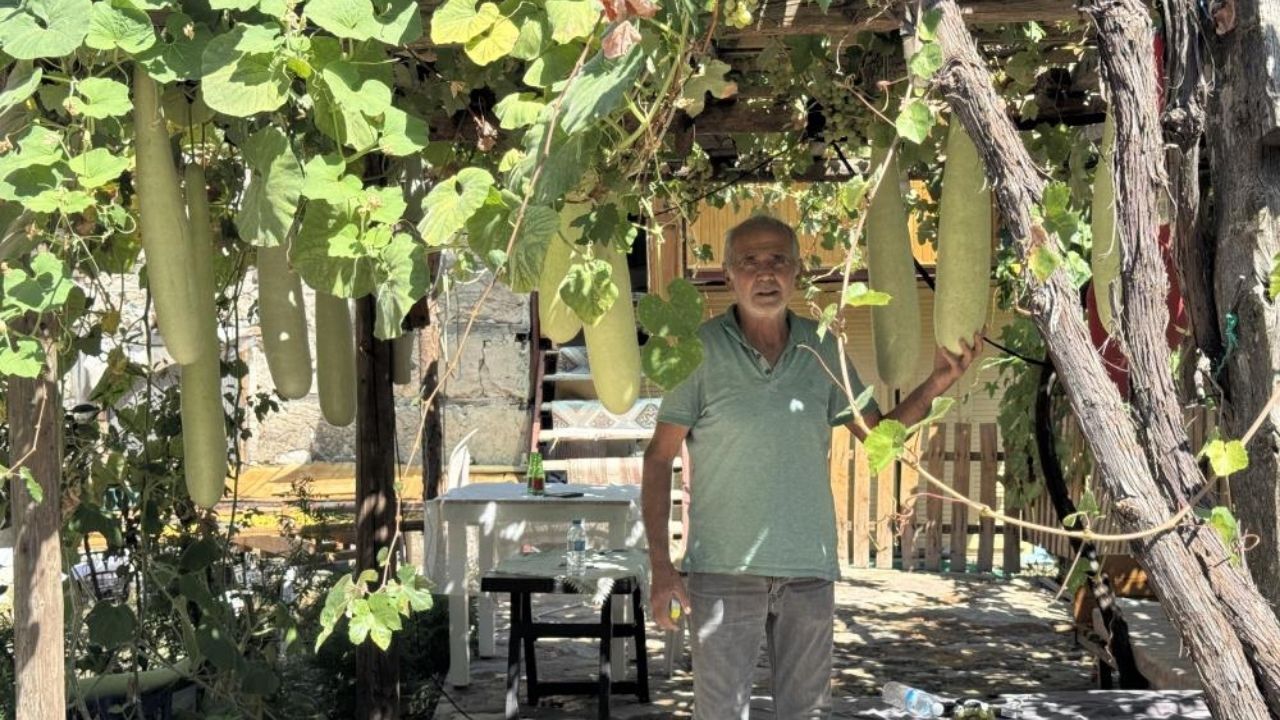 Antalya’da Deneme Amaçlı Ekti, 96 Santimetrelik Kabak Yetişti1 (2)