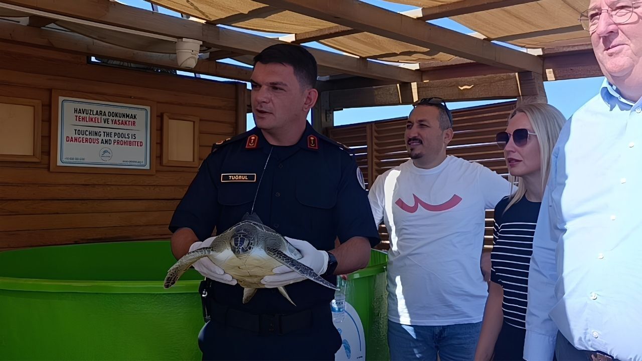 Antalya’da Deniz Kaplumbağalarının Gizemli Yolculuğu Başladı23 (3)
