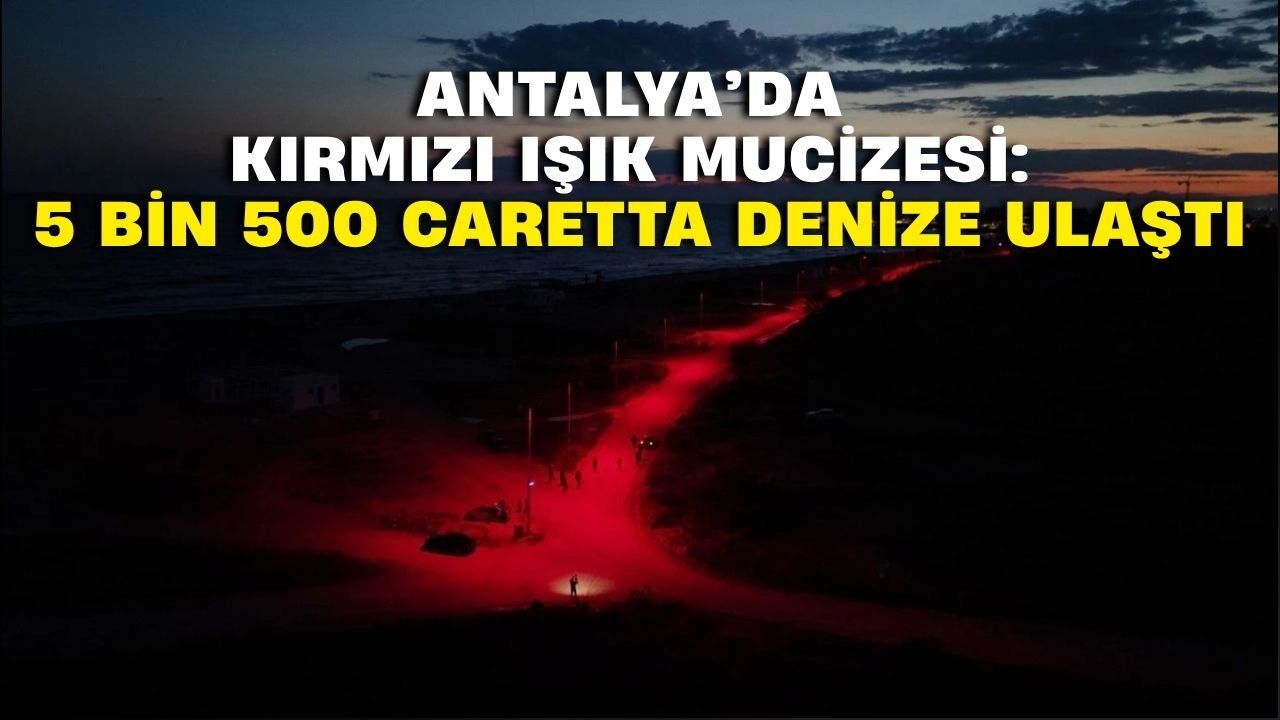 Antalya’da kırmızı ışık mucizesi: 5 bin 500 caretta denize ulaştı