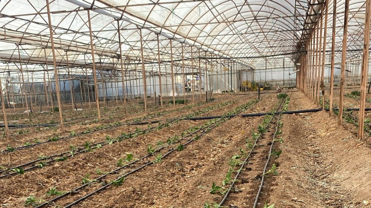 Antalya’da Üreticiye Nefes Aldıracak Destek! 30 Milyar Lira Ekleniyor1 (3)