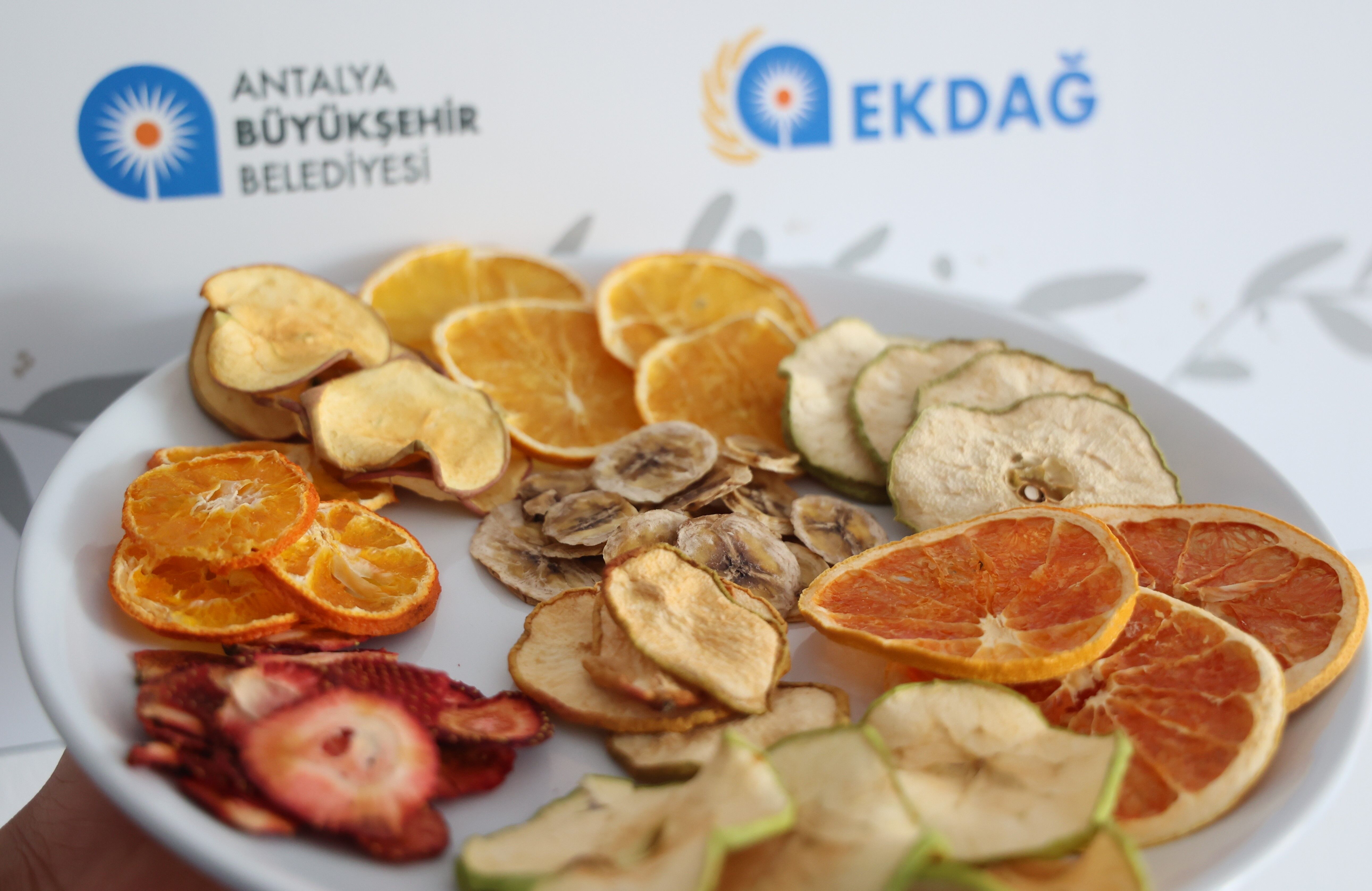 Ekdag Korkuteli6
