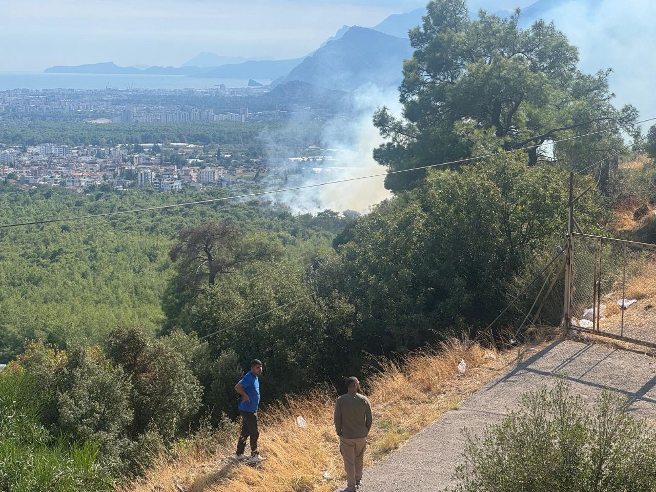Kepez'de Orman Yangını! (1)