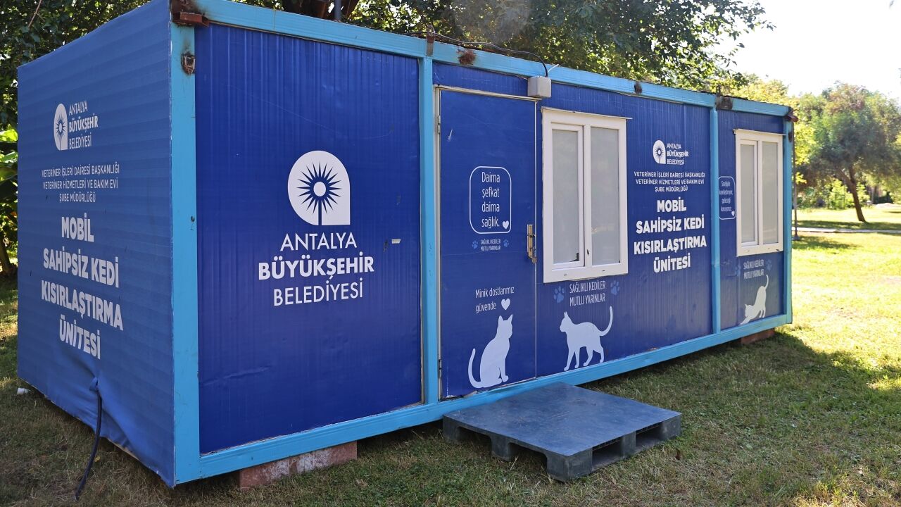 Mobil kedi kısırlaştırma ünitesi Karaalioğlu Parkı’nda