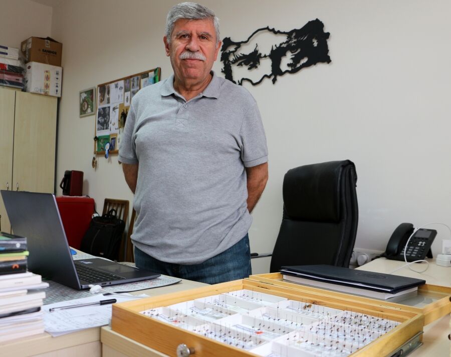 Profesör, Keşfettiği Sinek Türüne Ölen Oğlunun Adını Verdi (2)
