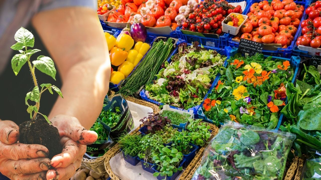 Tarladan Markete Fiyat Operasyonu Nedir, Kimler Gözaltına Alındı Hangi Firmalar Var2E (1)